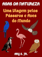 Asas da Natureza Uma Viagem pelos Pássaros e Aves do Mundo