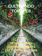 Cultivando Tomates
