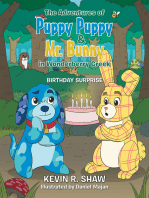The Adventures of Puppy Puppy & Mr. Bunny in Wonderberry Creek: Birthday Surprise