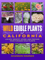 Wild Edible Plants of California: Forage and Feast Series: Comprehensive Guides to Foraging Across America, #2