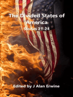 The Divided States of America: Stories 21-24