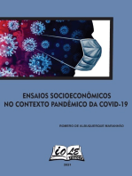 Ensaios Socioeconômicos No Contexto Pandêmico Da Covid-19
