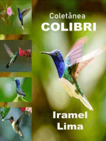 Coletânea Colibri