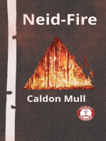 Neid-Fire