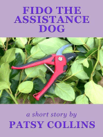 Fido The Assistance Dog