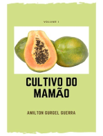 Cultivo Do Mamão