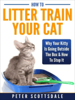How To Litter Train Your Cat: Why Your Kitty Is Going Outside The Box & How To Stop It