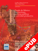 Estado de México: instituciones, políticas públicas y actividad productiva