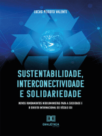 Sustentabilidade, interconectividade e solidariedade: novos fundamentos neoiluministas para a Sociedade e o Direito Internacional do século XXI