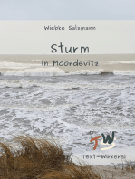 Sturm in Moordevitz: Ein Krimi zum großen Sturmhochwasser an der Ostsee 1872