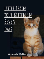 Litter Train Your Kitten in 7 Days
