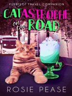 Catastrophe on the Road