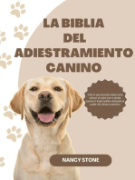 La Biblia del Adiestramiento Canino: Todo lo que Necesita saber para Educar al Mejor Perro desde Cachorro hasta Adulto Utilizando el Poder del Refuerzo Positivo