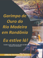 Garimpo De Ouro Do Rio Madeira Em Rondônia