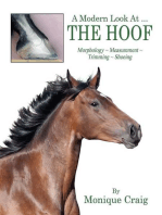 A Modern Look At ... THE HOOF: Morphology ~ Measurement ~ Trimming ~ Shoeing