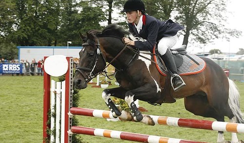 the-basics-of-showjumping-and-how-competitions-are-judged-farmer-s