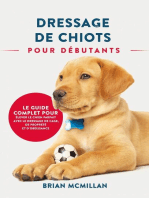 Dressage De Chiots Pour Débutants