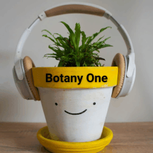 Botany One