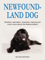 Newfoundland Dog: Nutrition, education, character, training and much more about the Newfoundland