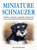 Miniature Schnauzer: Nutrition, education, character, training and much more about the Schnauzer Dog