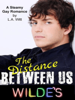 The Distance Between Us: Wilde's, #2