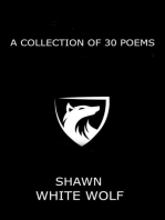A Collection of 30 Poems