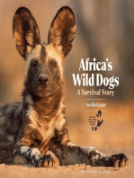 Africa's Wild Dogs: A survival story