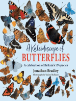 A Kaleidoscope of Butterflies: Britain's 59 resident species