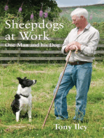 Sheepdogs at Work: One Man and His Dogs