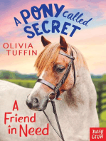 A Pony Called Secret