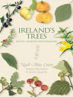 Ireland's Trees – Myths, Legends & Folklore