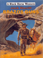 Brazos Guns