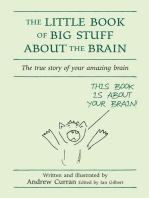 The Little Book of Big Stuff About the Brain: The true story of your amazing brain