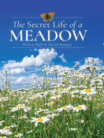 The Secret Life of a Meadow