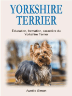 Yorkshire Terrier : Education, Formation, Caractère du Yorkshire Terrier