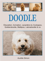 Doodle : Education, Formation, Caractère du Cockapoo, Goldendoodle, Maltipoo, Labradoodle & co.