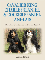 Cavalier King Charles Spaniel & Cocker Spaniel Anglais 