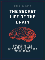The Secret Life of the Brain: Exploring the Mysteries and Wonders of Our Most Vital Organ