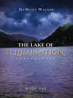 The Lake Of Illumination: Convergence