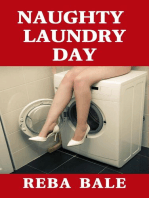 Naughty Laundry Day