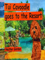 Tui Cavoodle Goes to the Resort