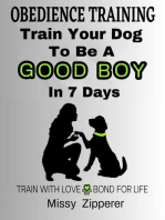 Train Your Dog To Be A Good Boy In 7 Days