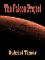 The Falcon Project