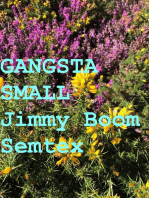 Gangsta Small