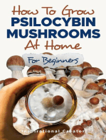 How to Grow Psilocybin Mushrooms at Home for Beginners