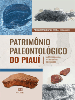 Patrimônio Paleontológico do Piauí: os fósseis como testemunhos do passado