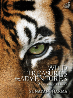 Wild Treasures & Adventures