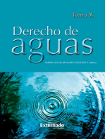 Derecho de aguas Tomo X