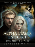 Alpha Liam's Escort: One Night Stand