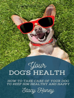 Your Dog's Health: How to Take Care of Your Dog to Keep Him Healthy and Happy